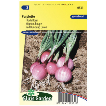 Purplette cibula zväzková 200 semien