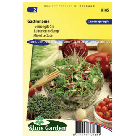 Zmes baby šalátov 2000 semien