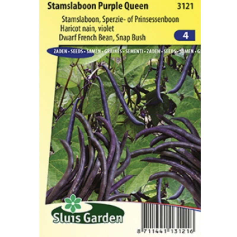 Purple Queen fazula fialová kríčková 75 g
