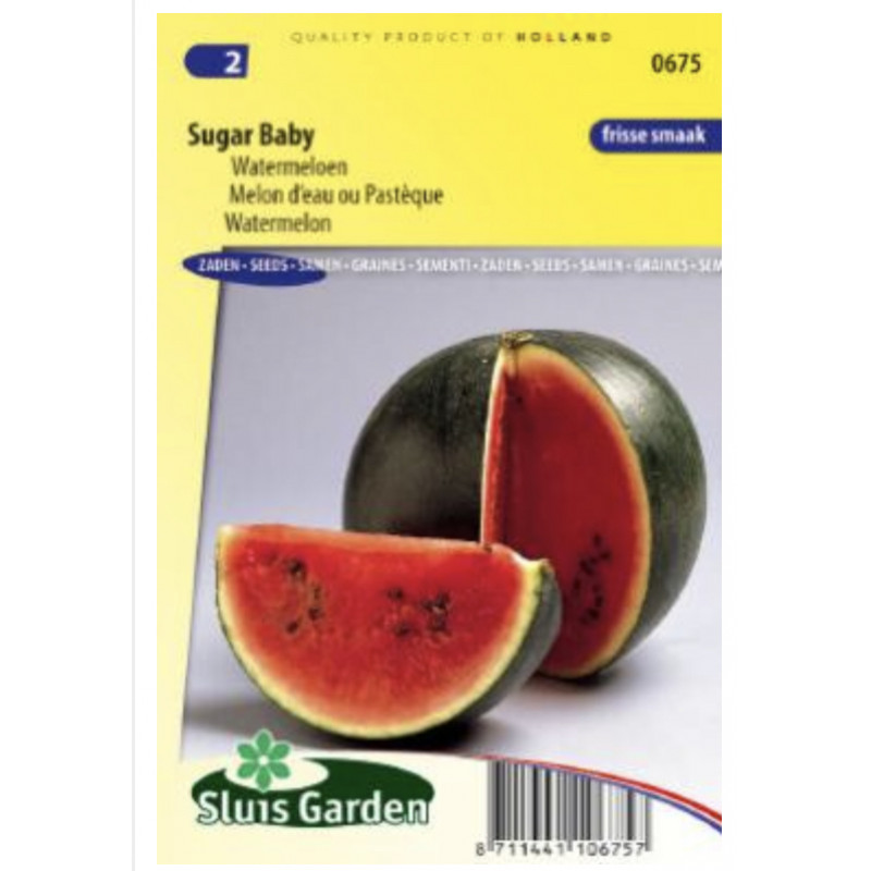Sugar Baby melón červeny 35 semien