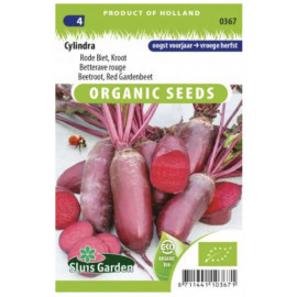 Cylindra cvikla červená podlhovastá Bio 190 semien..