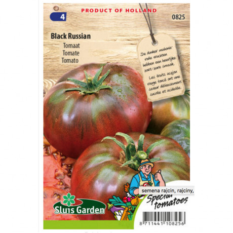 Black Russian rajčina veľká kolíková 25 semien