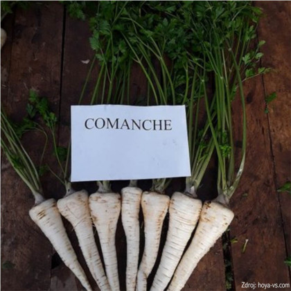Comanche petržlen koreňový polodlhý 10 g