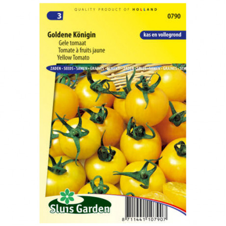 Golden Konigin cherry paradajka žltá 75 semien 