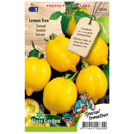 Lemon Tree paradajka žltá kulinárska 45 semien