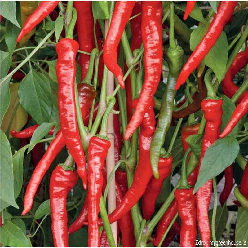 Poseidon paprika baraní roh štipľavý 10 g 