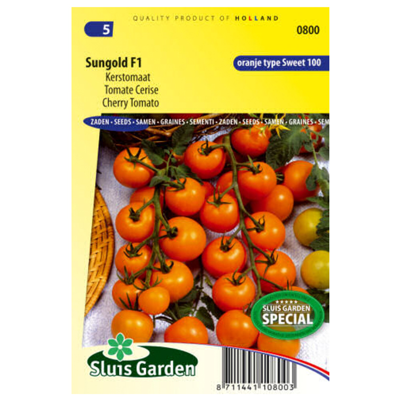 Sungold F1 rajčiak rezistentný cherry oranžový kolikový 11 semien