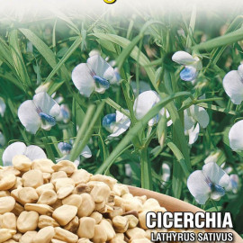 Hrachor siaty cereália strukovina semená 100 g