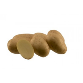 Arizona sadba zemiaky veľmi skoré 5kg