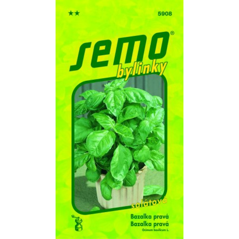 Bazalka Lettuce Leaf šalátová 5g