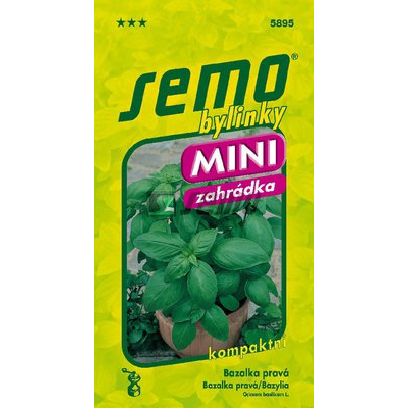 Bazalka Mammolo Genovese kompaktná širokolistá 0,8g