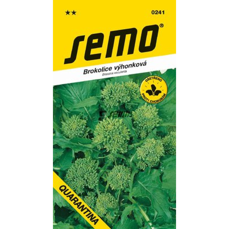 Quarantina Brassica oleracea convar. cymosa Duch. Brokolica 1g