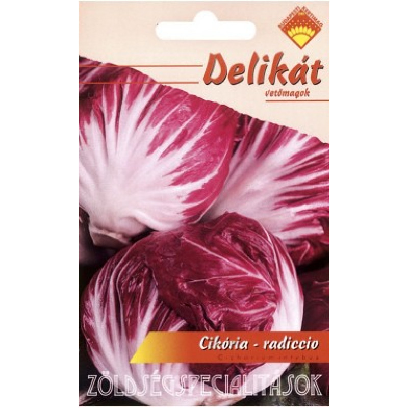 Cikória Radiccio Čakanka