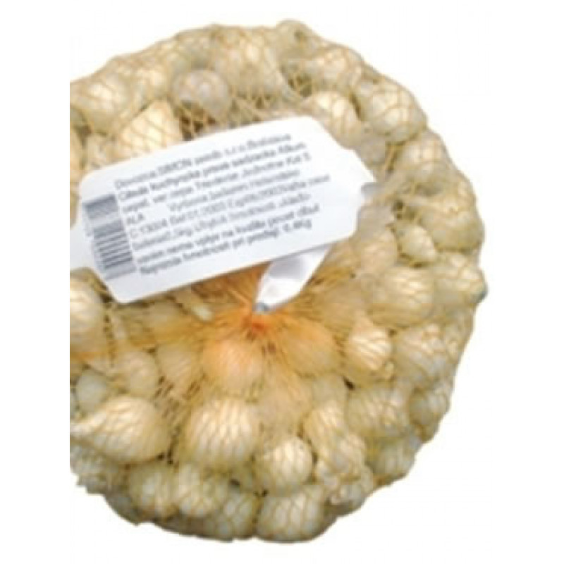Snowball Cibuľa sadzačka biela 200g
