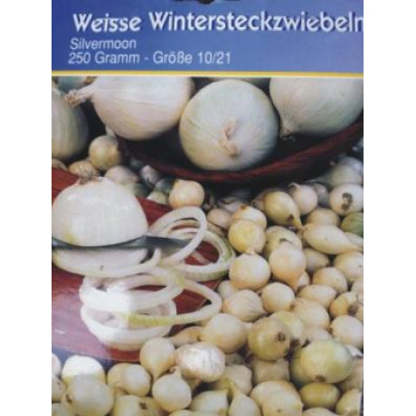 Silvermoon Cibuľa sadzačka biela ozimná 50ks