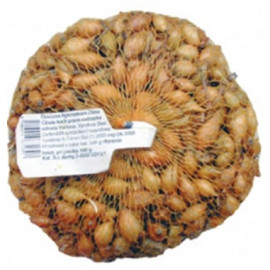 Sturon cibuľa sadzačka žltá 300g