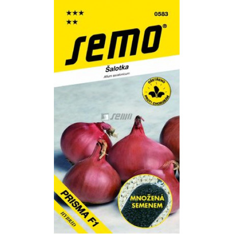 Prisma F1 Allium ascalonicum Cibuľa šalotka 50s