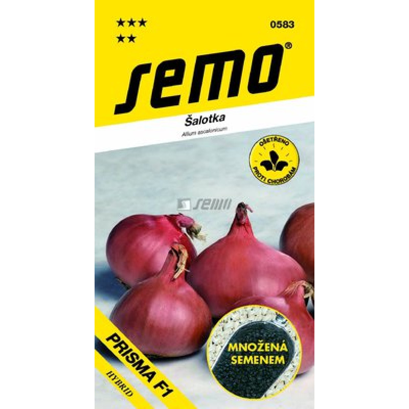 Prisma F1 Allium ascalonicum Cibuľa šalotka 50s