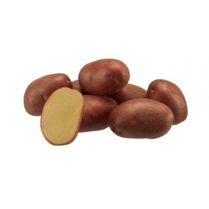 Evolution sadba zemiaky červené 5kg