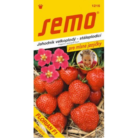 Florian F1 jahoda stálerodiaca veľkoplodá