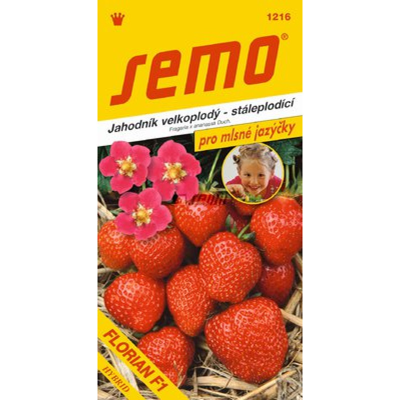 Florian F1 jahoda stálerodiaca veľkoplodá