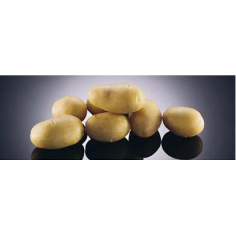 Impala sadbové zemiaky veľmi skoré mini hľúzy morené 3,5 kg