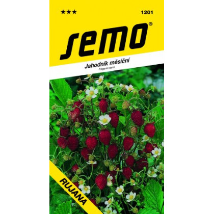 Rujana jahoda mesačná červená