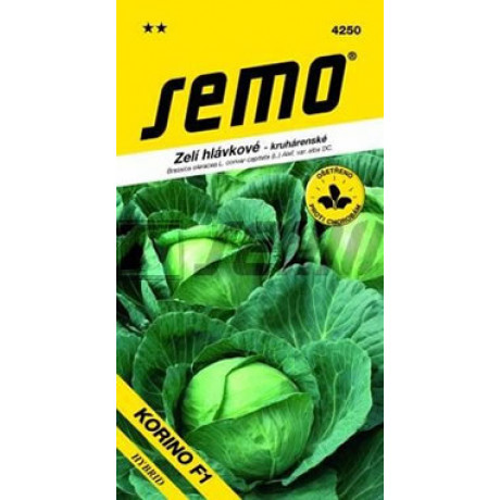 Korino F1 kapusta hlávková  stredne skorá