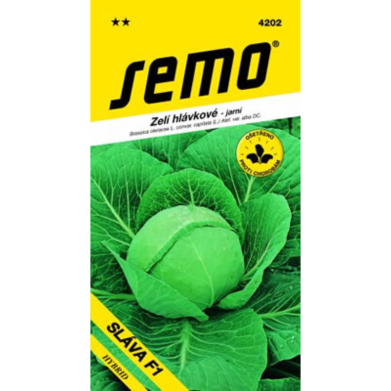 Sláva F1 kapusta hlávková skorá aj letná