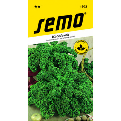 Winterbor F1 Brassica oleracea Kel kučeravý 20s