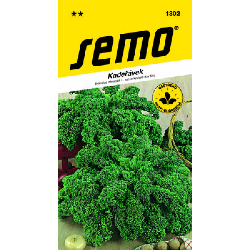 Winterbor F1 Brassica oleracea Kel kučeravý 20s