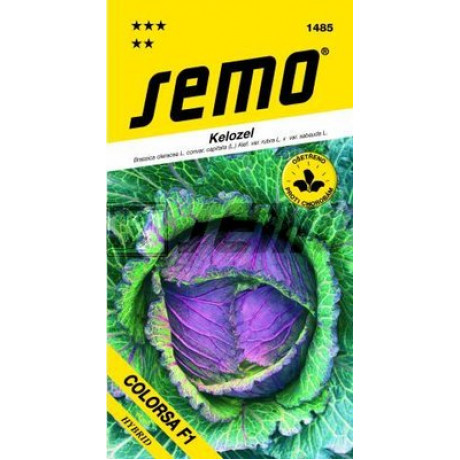 Colorsa F1 Brassica oleracea 20s