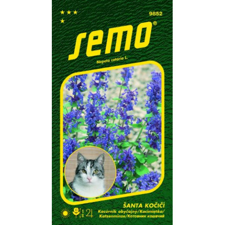 Kocúrnik obyčajný  Šanta Cat Grass Nepeta 0,2g