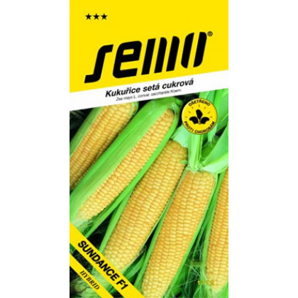 Sundance F1 Zea mays Kukurica cukrová 4g
