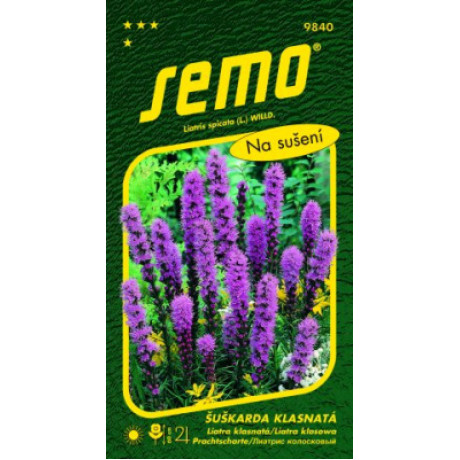 Liatra klasnatá Violet Liatris 0,4g