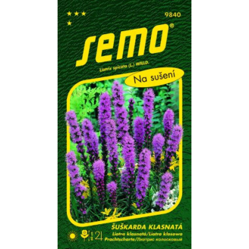 Liatra klasnatá Violet Liatris 0,4g