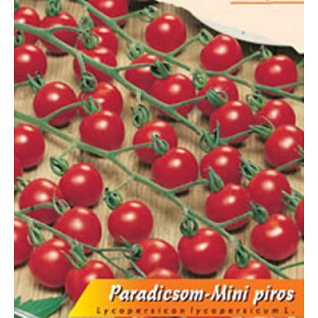 Piros mini paradajka Kríčková
