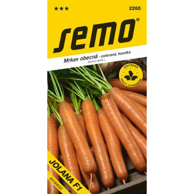 Jolana F1 mrkva karotka stredne skorá