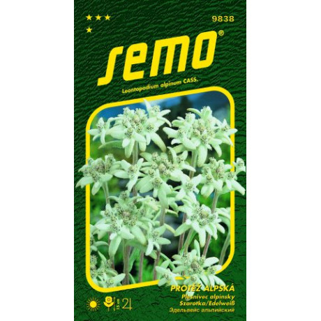 Plesnivec alpínsky Edelweis Leontopodium 0,1g
