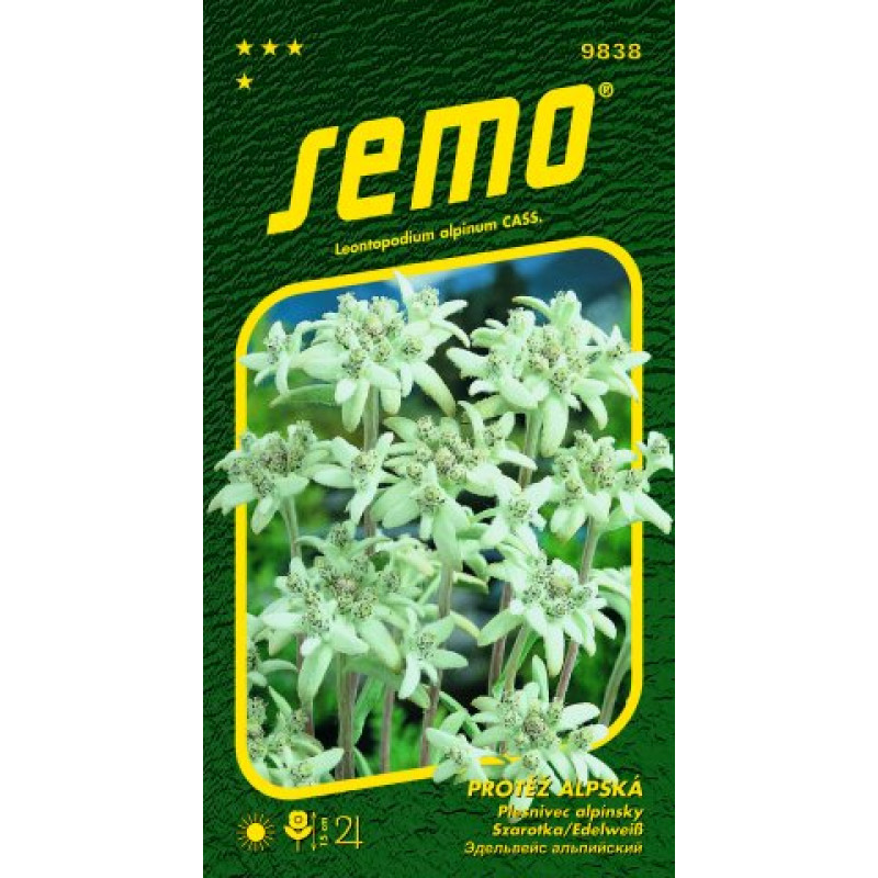 Plesnivec alpínsky Edelweis Leontopodium 0,1g