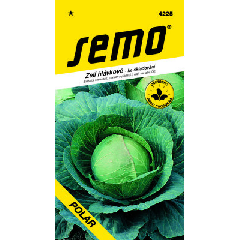 Polar kapusta hlávková neskorá skladovanie