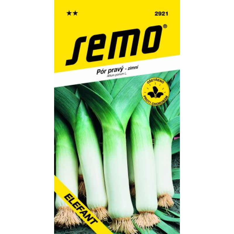 Giant 2 bio semená pór zimný 100g