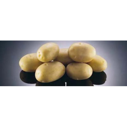 Agáta Sadbové zemiaky veľmi skoré 5 kg