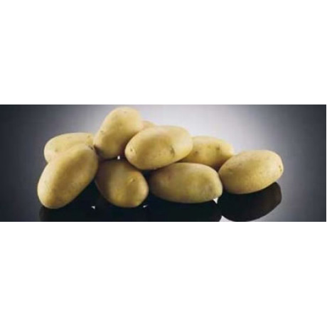 Anuschka zemiaky super skoré mini hľúzy 1,3 kg