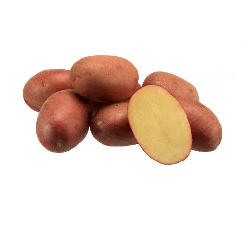 Bordeaux sadbové zemiaky červené 5kg