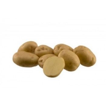 Riviera super skoré sadbové zemiaky mini hľúzy 28-35 mm morené 3kg