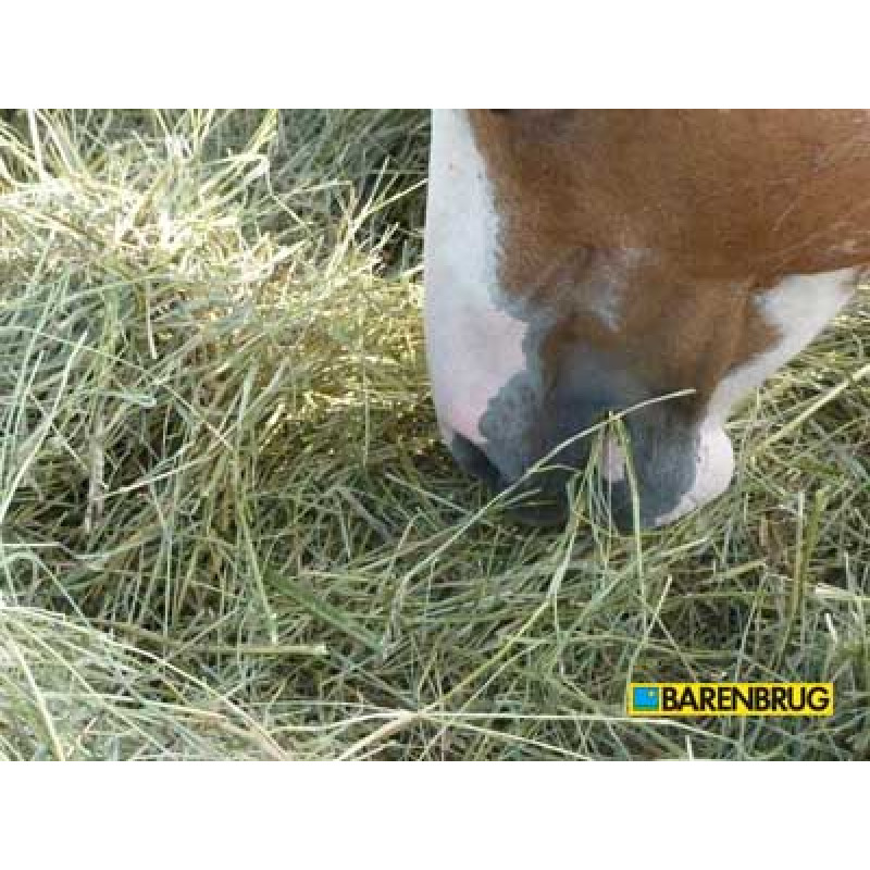 Kŕmna miešanka Horsemaster Hay seno pre kone Barenbrug 15kg