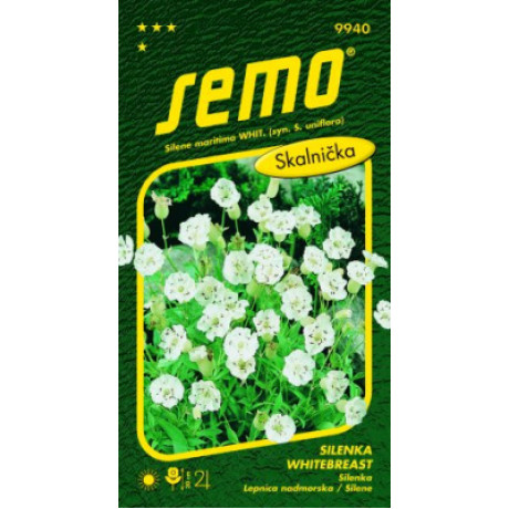 Silenka Whitebreast Silene skalnička 0,1g