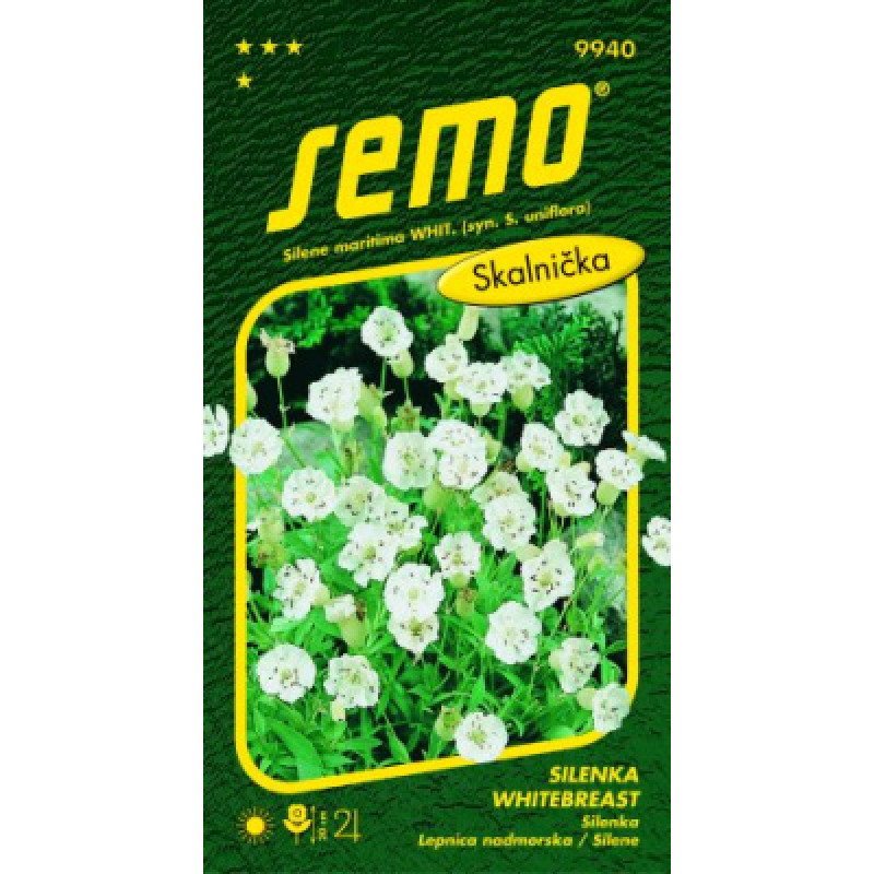 Silenka Whitebreast Silene skalnička 0,1g