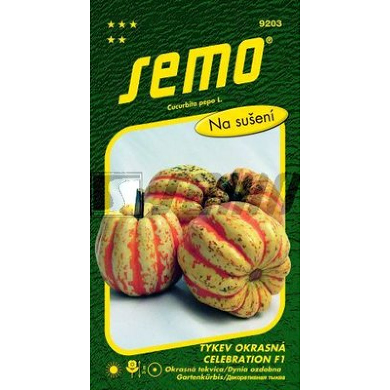 Celebration F1 Cucurbita pepo Tekvica okrasná 1g